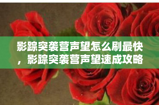 影踪突袭营声望怎么刷最快，影踪突袭营声望速成攻略，全方位解析如何刷声望