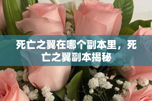 死亡之翼在哪个副本里，死亡之翼副本揭秘