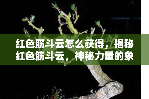 红色筋斗云怎么获得，揭秘红色筋斗云，神秘力量的象征与启示