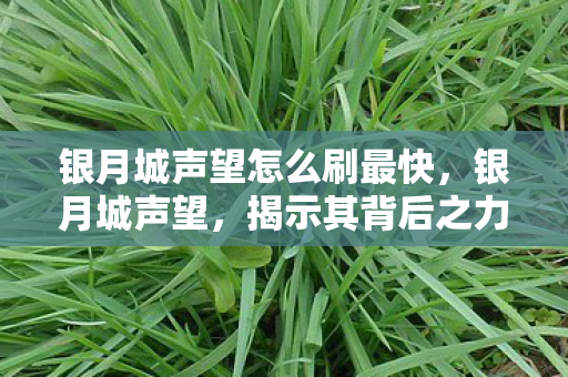 银月城声望怎么刷最快，银月城声望，揭示其背后之力与荣耀之路