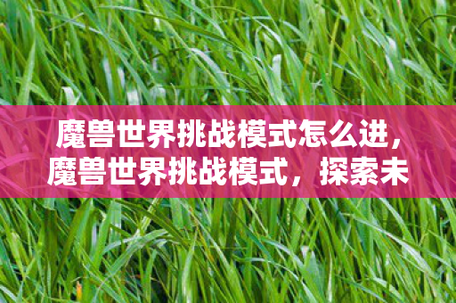 魔兽世界挑战模式怎么进，魔兽世界挑战模式，探索未知，超越极限