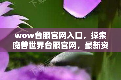 wow台服官网入口，探索魔兽世界台服官网，最新资讯、游戏攻略与社区互动