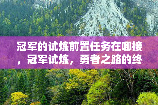 冠军的试炼前置任务在哪接，冠军试炼，勇者之路的终极挑战