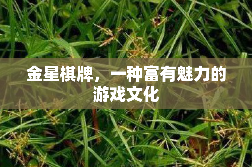 金星棋牌，一种富有魅力的游戏文化