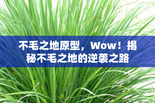 不毛之地原型，Wow！揭秘不毛之地的逆袭之路