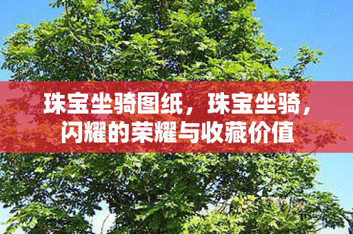 珠宝坐骑图纸，珠宝坐骑，闪耀的荣耀与收藏价值