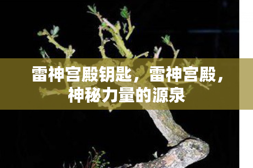 雷神宫殿钥匙，雷神宫殿，神秘力量的源泉