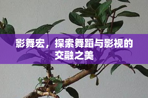 影舞宏，探索舞蹈与影视的交融之美