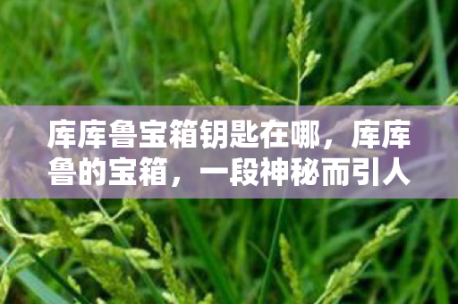 库库鲁宝箱钥匙在哪，库库鲁的宝箱，一段神秘而引人入胜的故事