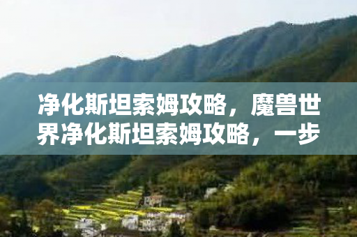 净化斯坦索姆攻略，魔兽世界净化斯坦索姆攻略，一步步教你如何打败敌人