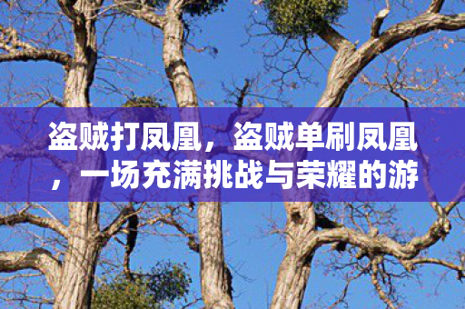 盗贼打凤凰，盗贼单刷凤凰，一场充满挑战与荣耀的游戏之旅