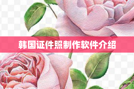 韩国证件照制作软件介绍