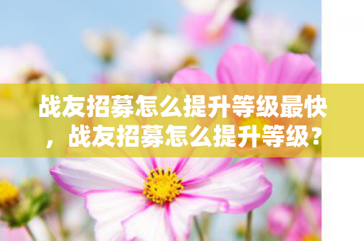 战友招募怎么提升等级最快，战友招募怎么提升等级？打造高效团队的关键策略！
