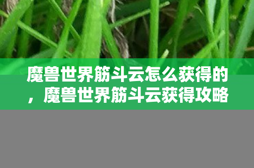 魔兽世界筋斗云怎么获得的，魔兽世界筋斗云获得攻略