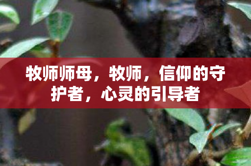 牧师师母，牧师，信仰的守护者，心灵的引导者