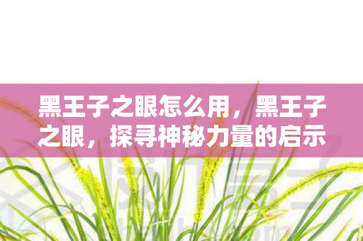 黑王子之眼怎么用，黑王子之眼，探寻神秘力量的启示
