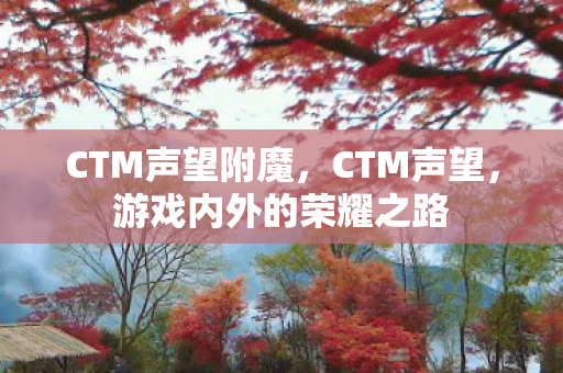 CTM声望附魔，CTM声望，游戏内外的荣耀之路