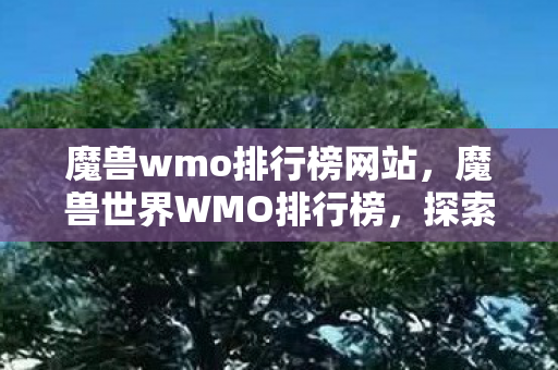 魔兽wmo排行榜网站，魔兽世界WMO排行榜，探索顶尖玩家的荣耀战场