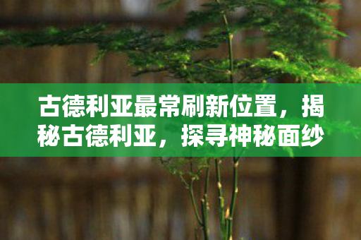 古德利亚最常刷新位置，揭秘古德利亚，探寻神秘面纱背后的故事
