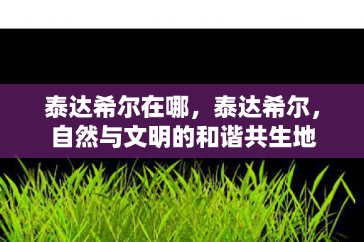 泰达希尔在哪，泰达希尔，自然与文明的和谐共生地