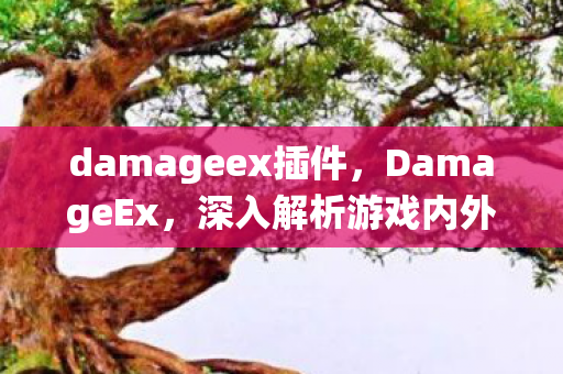 damageex插件，DamageEx，深入解析游戏内外伤害系统的重要性与复杂性