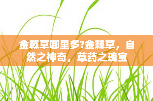 金棘草哪里多?金棘草，自然之神奇，草药之瑰宝