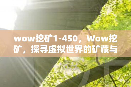 wow挖矿1-450，Wow挖矿，探寻虚拟世界的矿藏与数字货币的魅力