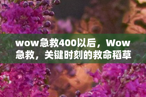 wow急救400以后，Wow急救，关键时刻的救命稻草