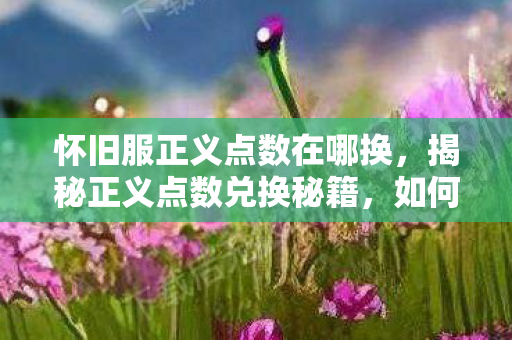 怀旧服正义点数在哪换，揭秘正义点数兑换秘籍，如何轻松获取并换取正义点数？