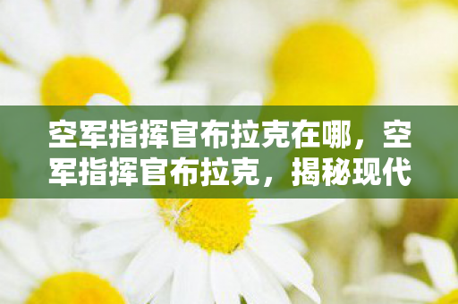 空军指挥官布拉克在哪，空军指挥官布拉克，揭秘现代空军战略与战术的传奇人物