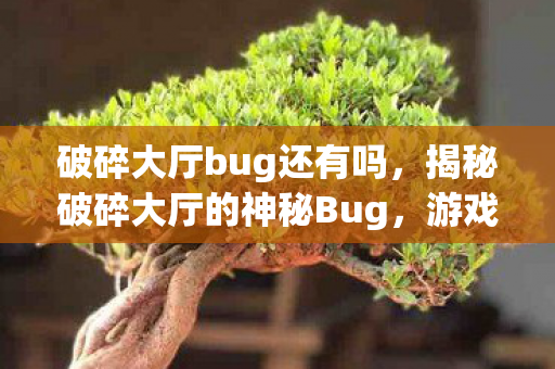 破碎大厅bug还有吗，揭秘破碎大厅的神秘Bug，游戏世界的未解之谜