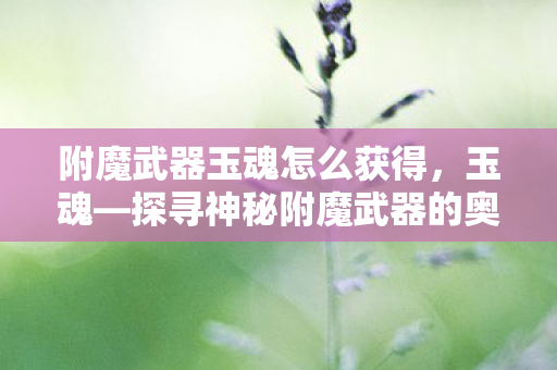 附魔武器玉魂怎么获得，玉魂—探寻神秘附魔武器的奥秘