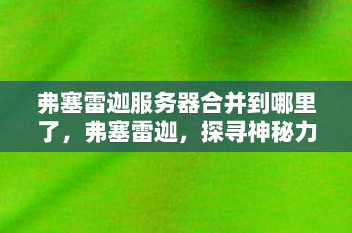 弗塞雷迦服务器合并到哪里了，弗塞雷迦，探寻神秘力量的传奇之旅