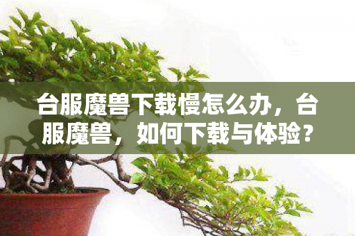 台服魔兽下载慢怎么办，台服魔兽，如何下载与体验？