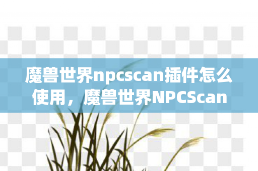魔兽世界npcscan插件怎么使用，魔兽世界NPCScan，揭示游戏背后隐藏的秘密
