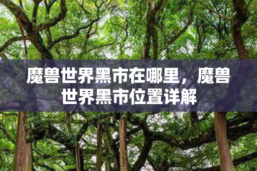 魔兽世界黑市在哪里，魔兽世界黑市位置详解