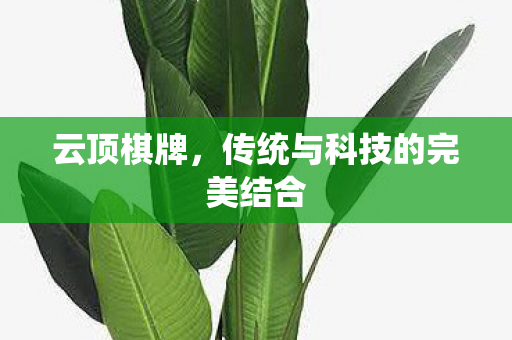 云顶棋牌，传统与科技的完美结合