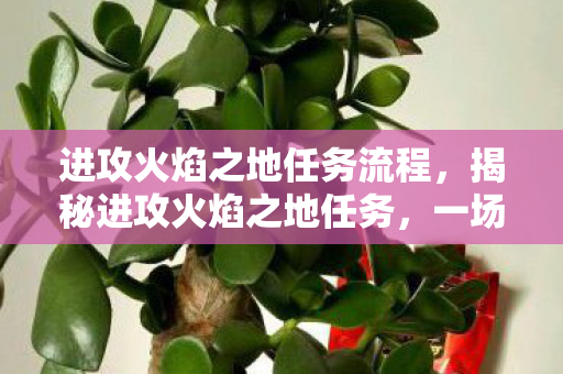 进攻火焰之地任务流程，揭秘进攻火焰之地任务，一场勇气与智慧的较量
