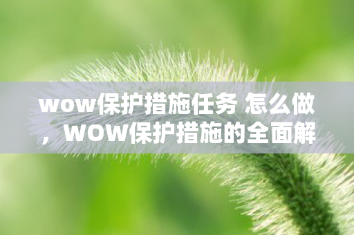 wow保护措施任务 怎么做，WOW保护措施的全面解析
