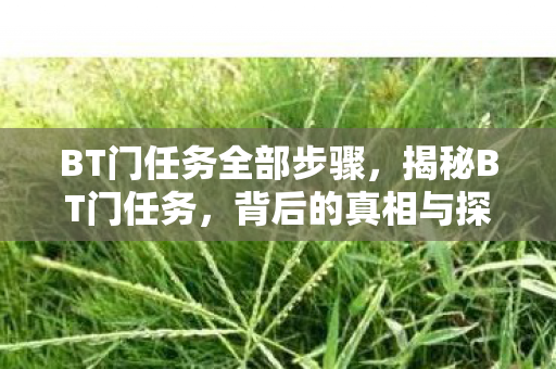 BT门任务全部步骤，揭秘BT门任务，背后的真相与探索