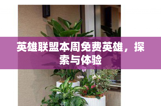 英雄联盟本周免费英雄，探索与体验