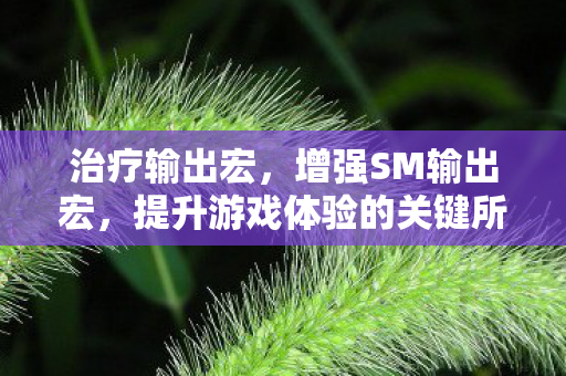 治疗输出宏，增强SM输出宏，提升游戏体验的关键所在