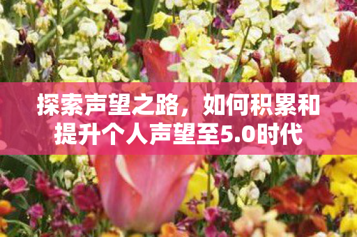 探索声望之路，如何积累和提升个人声望至5.0时代