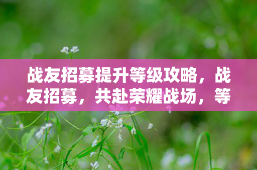 战友招募提升等级攻略，战友招募，共赴荣耀战场，等级提升大作战