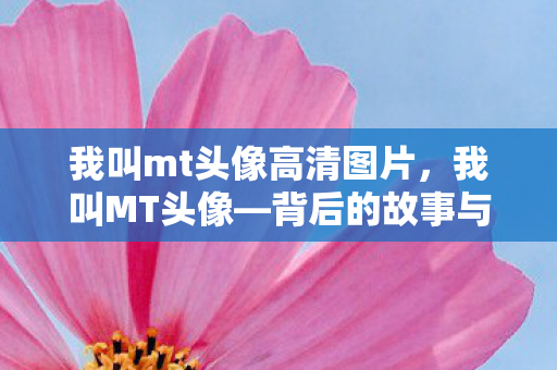 我叫mt头像高清图片，我叫MT头像—背后的故事与深层含义