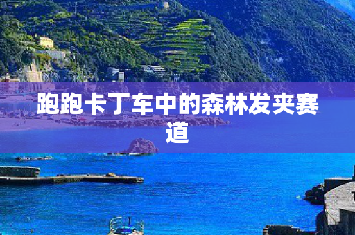 跑跑卡丁车中的森林发夹赛道