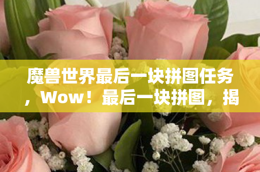 魔兽世界最后一块拼图任务，Wow！最后一块拼图，揭示未知的奥秘与未来的可能性