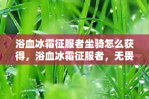 浴血冰霜征服者坐骑怎么获得，浴血冰霜征服者，无畏前行的传奇之旅