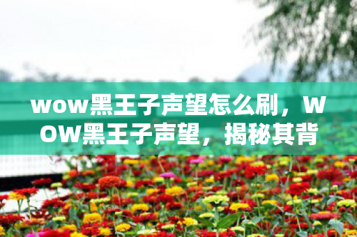 wow黑王子声望怎么刷，WOW黑王子声望，揭秘其背后的一切
