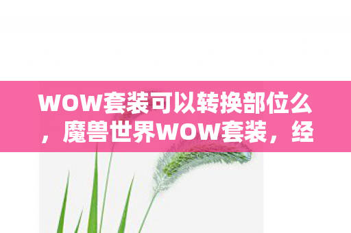 WOW套装可以转换部位么，魔兽世界WOW套装，经典游戏装备的荣耀与魅力